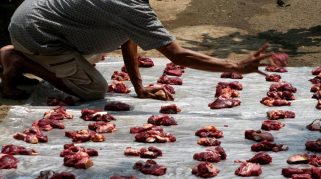 Cara Penyembelihan Kurban Niat Kurban Idul Adha
