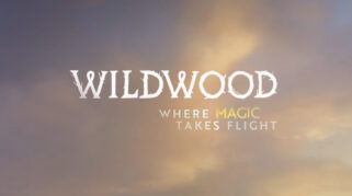 wildwood