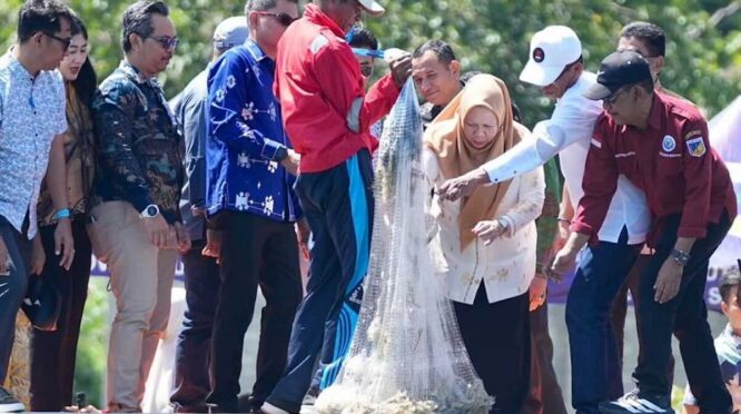 Udang Vaname Sulteng