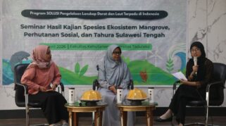 Rehabilitasi Ekosistem Sulawesi Tengah