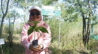 kici