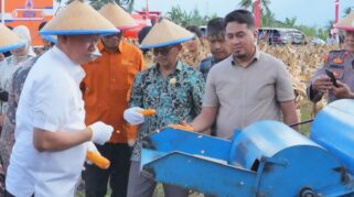 panen raya