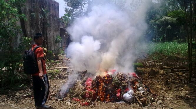 bakar sampah