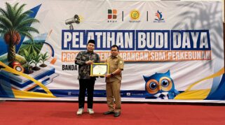 sawit