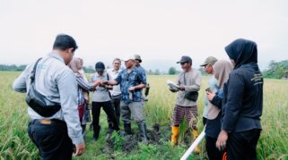 pengendalian hama tikus terpadu