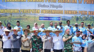 Swasembada Bawang Putih
