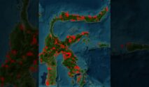 KARHUTLA Sulawesi Tengah