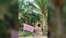 Tambang Ilegal Labonu
