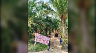 Tambang Ilegal Labonu