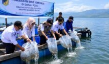 Penebaran Ikan Nila Danau Poso