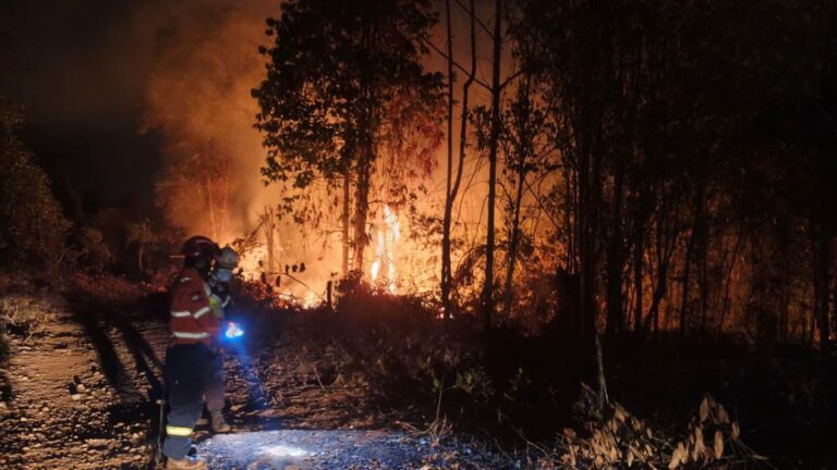 Kepatuhan Aturan Kawasan Hutan